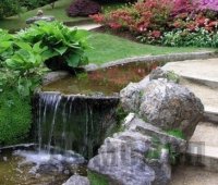 ���� ������ ���������� � ���������