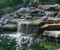 ���� ������ ���������� � ���������