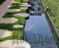 ���� ������ ���������� � ���������