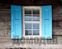 ����� ���� ������� ��� ���������