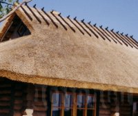 ����������� ��������� ������