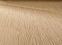 ������������ �� ������ ��������� �� ��������� ����