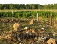 �������� ������ ������� ��� ������������� ����