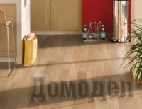 ���� �������� ����������� ��������