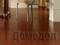 ���� �������� ����������� ��������