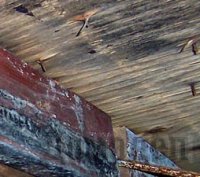 ������ ��������� �� �������