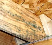 ������ ��������� �� �������