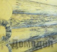 ������ ��������� �� �������