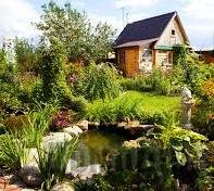 ���� �� ����