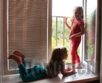 ������ �� ���� �� �����