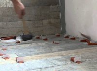 ������������ ������