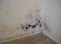 ������� ����������� ������� � ������, � ��������� ���� ������� ���� ��������