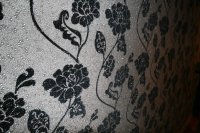 ��������� ������� ����