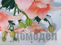 ���������� ���� ��� ������ ���������� ������������� ���������