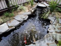 ������ ������������ ������� ������ ������