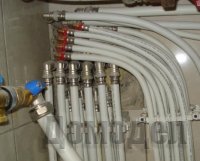 ������ ������������������ ����