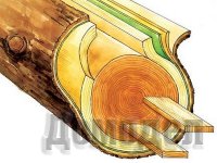 �������� ��������� �������