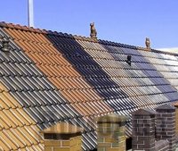 �������� ��� ������