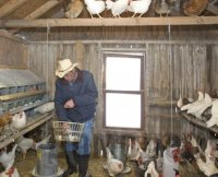 ������ ������ ����� ��� �������� ��������