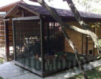 ������ ������ ����� ��� �������� ��������