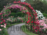 ������� ���� ��� ����