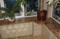 ����� ��������� ��� �����������