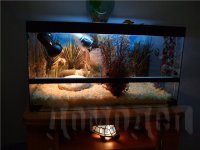 ��� ������� ��������� ��� �������� ��������������