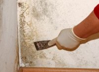 ��� ���������� �� ������� �� ������ �����