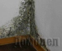 ��� ���������� �� ������� �� ������ �����