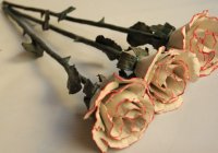 ��������� ������������ � ���� � ������ �������