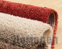 ����� �������� ��������?