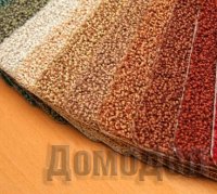 ����� �������� ��������?