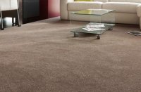 ����� �������� ��������?