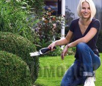 �������� � ������������ �������� ���������