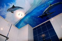 �������� ������� � ������ ������ ������