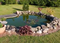 ������������� ���� �� ������ �������