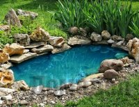 ������������� ���� �� ������ �������