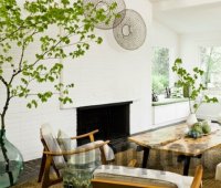 ����� nature � ����� ����� � ���������� ���������