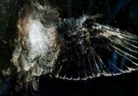 ��������� �� ������