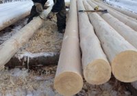 ��� ������ �������� ���������