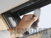 ���� ������ ���������