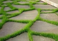 ��������� ������ ��� �������