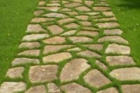 ��������� ������ ��� �������