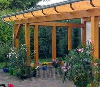 ������������� ������ �� ���� ������ ������