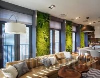 ��������� � ��������