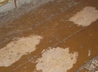 ������� ������ ���