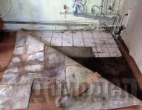 ������� ������ ���