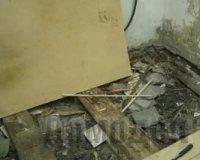 ������� ������ ���