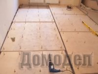 ������ ����