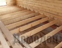 ������ ����